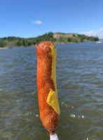 Pronto Pup food