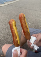 Pronto Pup food