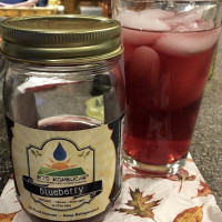 Mto Kombucha food