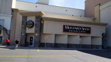 Mustard Seed food