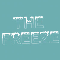 The Freeze Of Asheville food