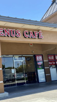 Venus Cafe San Jose food