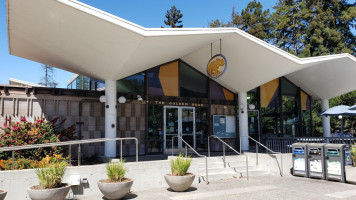 The Golden Bear Café inside