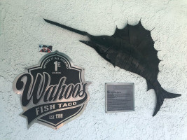 Wahoo's Fish Taco food