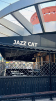 Jazz Cat outside