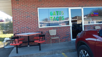 Gatos Tacos inside