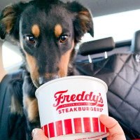 Freddy's Frozen Custard Steakburgers food