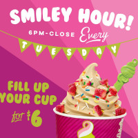 Menchie's Frozen Yogurt food