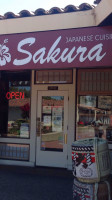 Sakura Japanese Cuisine food