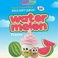 Sweetfrog Premium Frozen Yogurt food