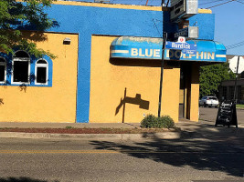 Blue Dolphin outside