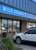 Wild Scoops outside