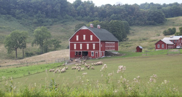 Shepherd's Farm Ice Cream Shop outside