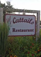 Cattails outside