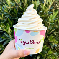 Yogurtland Fair Oaks food