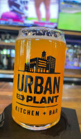 Urban On Plant Kitchen food