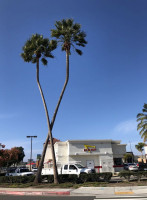 In-n-out Burger food