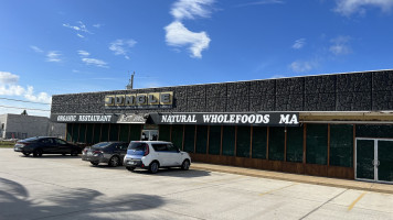 The Jungle Organic Market And Wellness Center outside