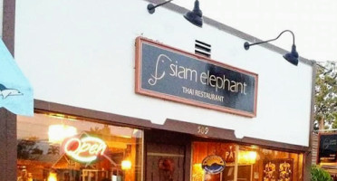 Siam Elephant inside