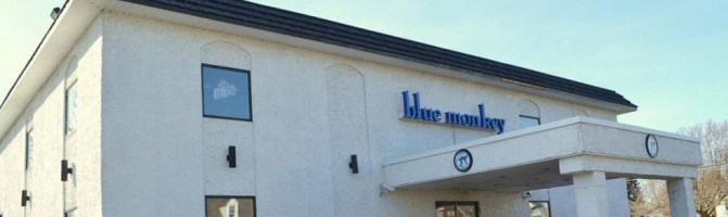 Blue Monkey food