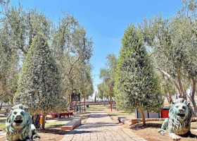 Queen Creek Olive Mill outside