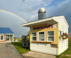 Tawas Bay Pronto Pup food