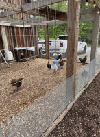 Orchard And Table inside