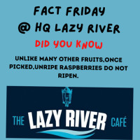 Lazy River Cafe Llc food