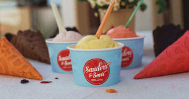 Sanders Sons Gelato food