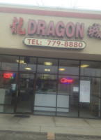 Dragon City inside