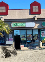 Cilantro Fresh Mexican Grill food