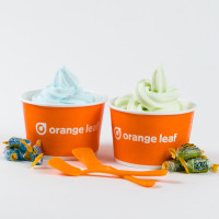 Orange Leaf food