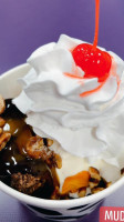 Chilly Willy's Ice Creams Grill food