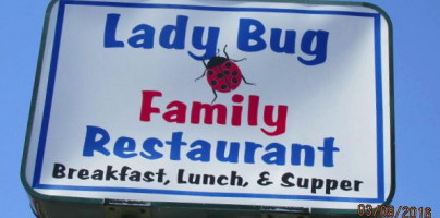 Lady Bug Family outside