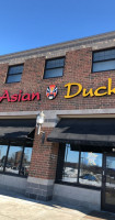 Asian Duck food