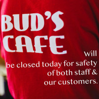 Bud's Cafe food