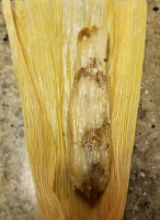 Delicious Tamales food