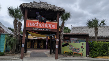 Nacho Hippo outside