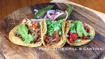 Papagayos Grill And Cantina food