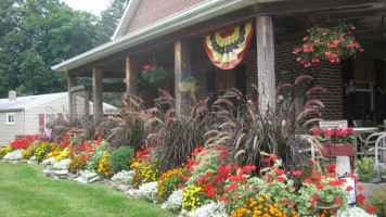 Teaberries outside