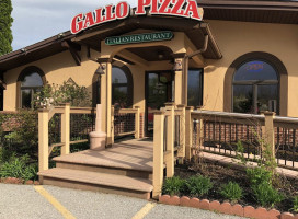 Gallo Pizza Italian food