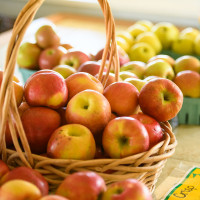 The Harvest Table food