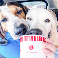 Freddy's Frozen Custard Steakburgers food