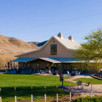 3 Horse Ranch Vineyards outside