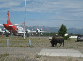 Smokejumper Cafe Mobile Experience outside