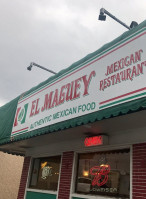 El Maguey food