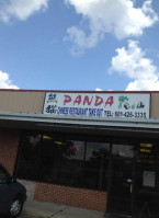 Panda outside