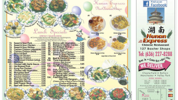 Hunan Express food