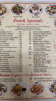 Hunan Express food