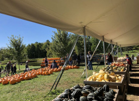 Treworgy Family Orchards food